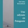 Une Odyssée En Patagonie