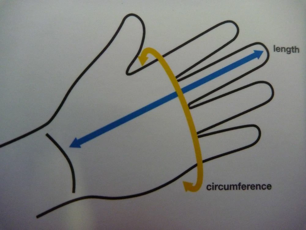 Mouffles TALON PALM – Image 3